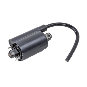 Ignition Coil for Riding Lawn Equipment and Gator Utility Vehicles.